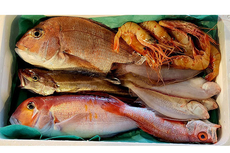 季節の鮮魚詰め合わせセット 約3kg 高級魚 鮮度抜群
