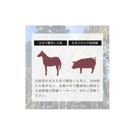 大月市で肥育した馬と放牧豚で作ったソフトサラミソーセージ　70gシート2枚　250gブロック1個【1087-031】