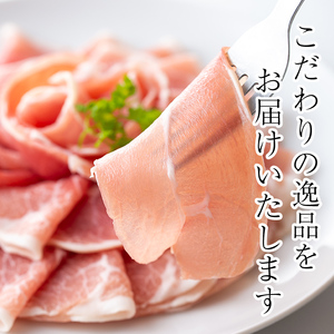 ＜定期便・全3回(連続)＞ 鹿児島 国産 豚 生ハム 切り落とし（計2.25kg/計750g・75g×10P×3回） 【ナンチク】 T29
