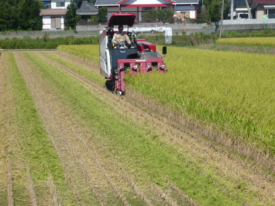【令和7年産】うきうきう米 5kg 【2026年10月下旬までに発送予定】