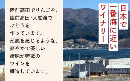 【大人の贅沢】 果汁100％りんごジュース 720ml×6本 りんごジュース 〈G7広島サミット おもてなし商品〉