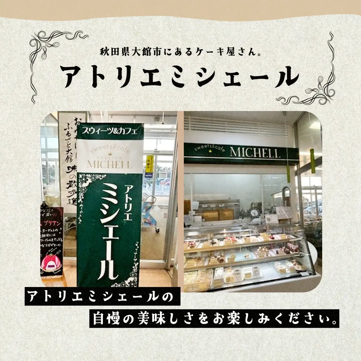 カットケーキセット フルーツ・チョコ各5個　60P5608