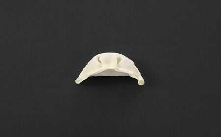 A1514.【創業40年の老舗が誇る味わい】博多餃子８０個