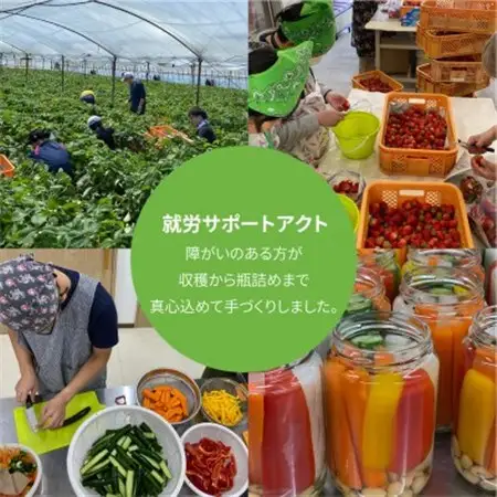 三河野菜の葵ピクルス「あいちの家康酢漬」250gびん2本【配送不可地域：離島】【1575501】