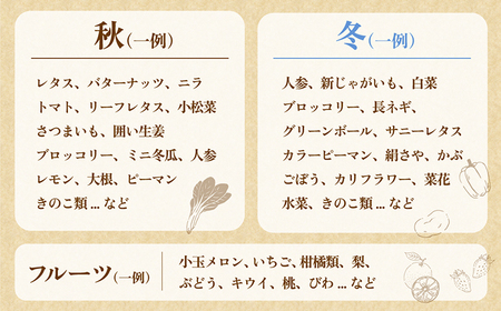 新鮮 「旬の野菜・フルーツ」 詰め合わせ セット（13品-15品）[SCB090] 野菜