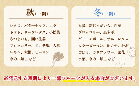 旬の新鮮 野菜詰め合わせセット（10品-12品）[SCB094] 野菜