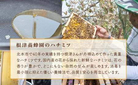 はちみつ 国産 巣みつ入り 300g×2瓶 | はちみつ 蜂蜜 根津養蜂園