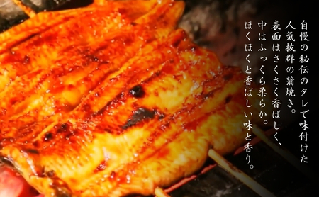 鰻 国産 うなぎの蒲焼き 3尾入（特製タレ付） / 鰻城 うなぎ ウナギ 蒲焼 簡単調理 時短 小分け 電子レンジ