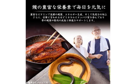 高知県産 うなぎ 長蒲焼3尾 約160g×3 (3?6人前)/ 鰻 ウナギ 土用丑の日 高知産 うなぎ 【土佐黒潮水産】[ATCQ010]
