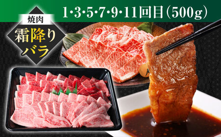 【12回定期便】 【交互定期便】 飛騨牛 ■1回目 霜降り バラ 焼肉 500g ■2回目 赤身（ モモ / カタ ）すき焼き しゃぶしゃぶ 国産 牛 肉 すきやき 赤身 赤身肉 岐阜市 / 丸福商店[ANBO053]