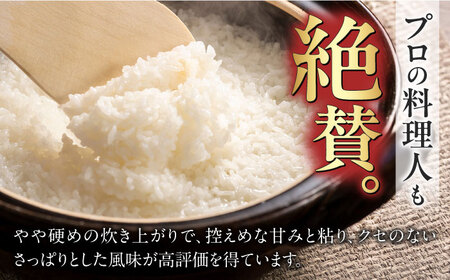 【12回定期便】【R7年産】白米ハツシモ 5kg 白米 5kg 白米定期便[ANCU007]