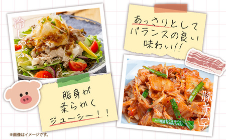数量限定 3か月 お楽しみ 定期便 小分けで便利 豚 切り落とし 総重量9kg お肉 豚肉 国産 小分け 真空パック 個包装 万能食材 おすすめ おかず 食品 お弁当 豚丼 しゃぶしゃぶ お祝い 記念日 宮崎県 日南市 送料無料_GB3-24