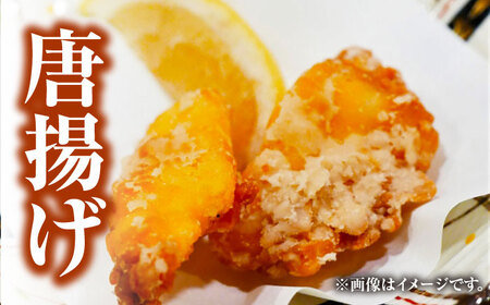 【全3回定期便】【 対馬産 】 天然 クエ 1kg（500g×2）（切り身） 鍋 水炊き 海鮮 クエ 天然クエ [WAB024]