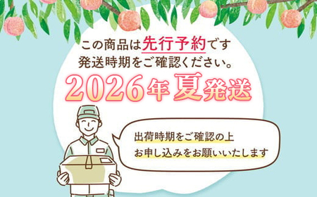 ◆2026年夏発送◆桃源のめぐみ～産直・桃・約5kg～ ※離島への配送不可 ※2026年7月上旬～9月上旬頃に順次発送予定｜先行予約 予約 数量限定 桃 もも モモ 果物 くだもの フルーツ 詰め合わせ 福島 ふくしま