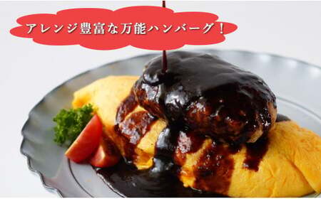 幸せ有っ田け！デミグラスふわふわ煮込みハンバーグ 230g×4個セット【西洋食堂信】冷凍ハンバーグ ハンバーグお取り寄せ 温めるだけ 大人気 N16-4