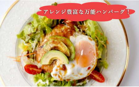 幸せ有っ田け！レモンソースふわふわ煮込みハンバーグ 230g×4個セット【西洋食堂信】冷凍ハンバーグ ハンバーグお取り寄せ 温めるだけ 大人気ハンバーグ ギフト N16-7