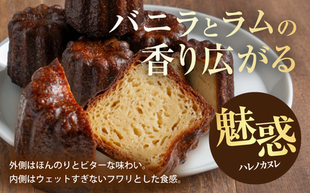 【チーズケーキ専門店】お菓子の詰め合わせ ホールケーキギフトBOX /バスクチーズケーキ ホールケーキ カヌレ フィナンシェ【ハレノ・チーズケーキ】[ATGN004]