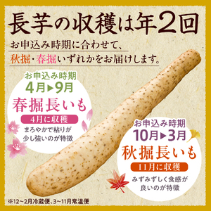 北海道十勝芽室町 ファーム・ミリオンの長芋【土付き】 5kg　長芋 長いも  とろろ 芋 北海道 十勝 芽室町 送料無料 お取り寄せ me016-012c