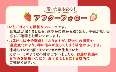【先行予約】いちご 320g×2p (2月発送) | いちご ※2027年2月～発送