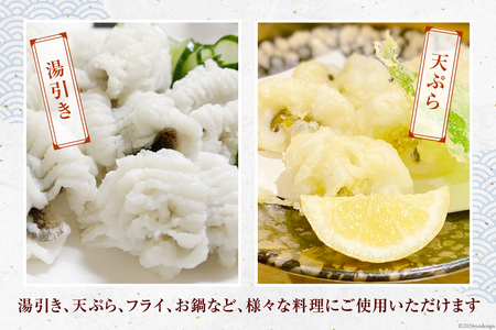 鱧 定期便 カット済み 骨切り 鱧切り身 1.2kg 3回 総計3.6kg [とこ丸 徳島県 北島町 29bj0003]