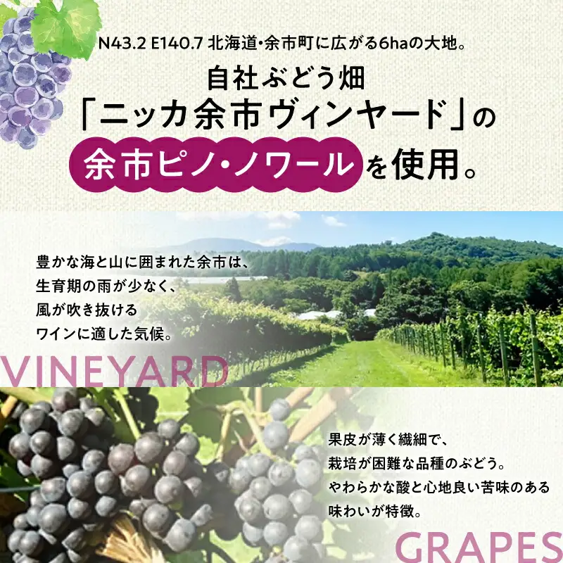 数量限定&北海道限定 N・Y・V（エヌ・ワイ・ブイ）余市ピノ・ノワール2022 750ml １本_Y090-0037