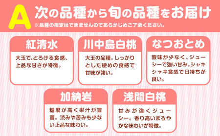 小寺さんの旬の白桃 約2kg 6～9玉 小寺壽夫 桃