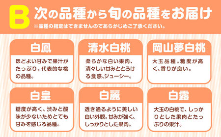 小寺さんの旬の白桃 2kg 6～8玉 小寺壽夫 桃