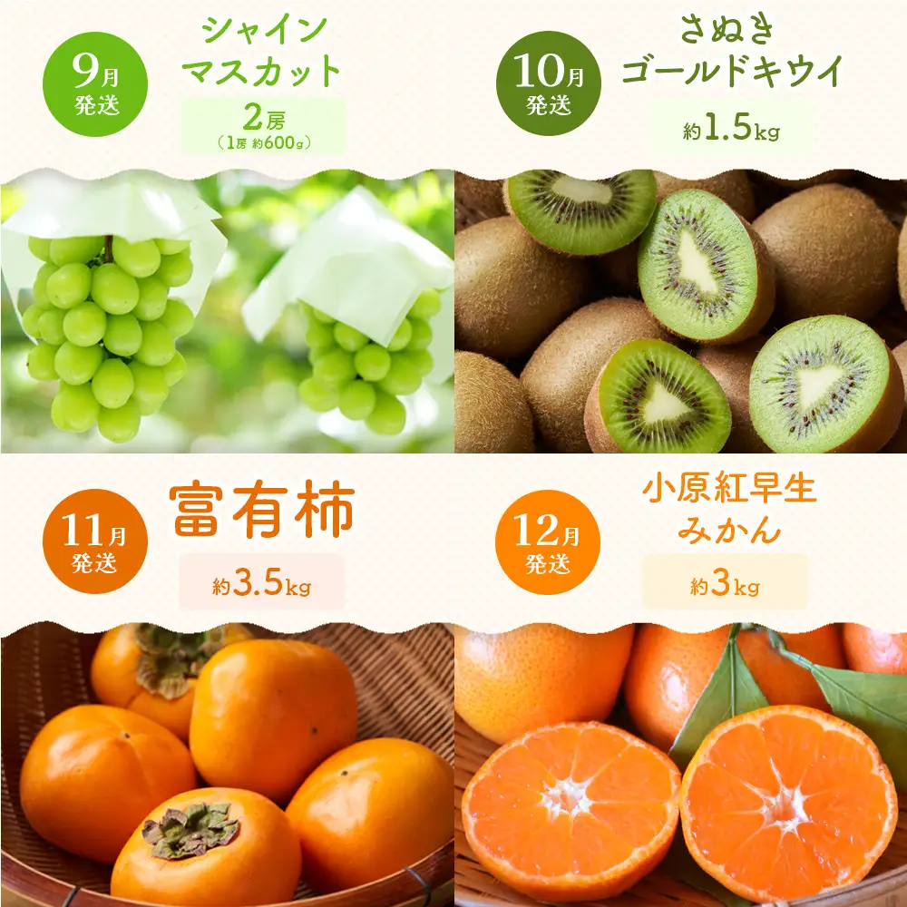 【定期便全12回】旬果厳選！四季を味わう単品定期便♪ | フルーツ
