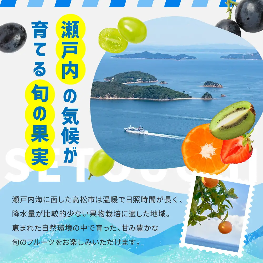 【12回毎月お届け】高松市自慢のフルーツ定期便【L】| フルーツ