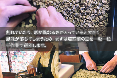 珈琲自家焙煎豆売り専門店つくもの自家焙煎珈琲豆「ツクモブレンド」100g×6《45日以内に出荷予定(土日祝除く)》