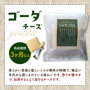 9月発送 北海道十勝芽室町 牧場チーズ２種類セット チーズ cheese ハードチーズ ゴーダチーズ 熟成チーズ 手作り お取り寄せ おつまみ アレンジ me020-005c-9