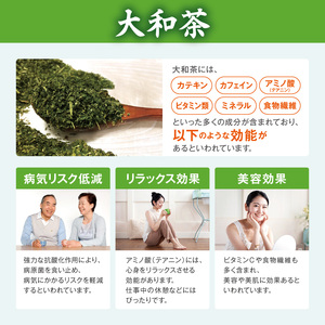 大和茶 (煎茶) 100g × 2個セット