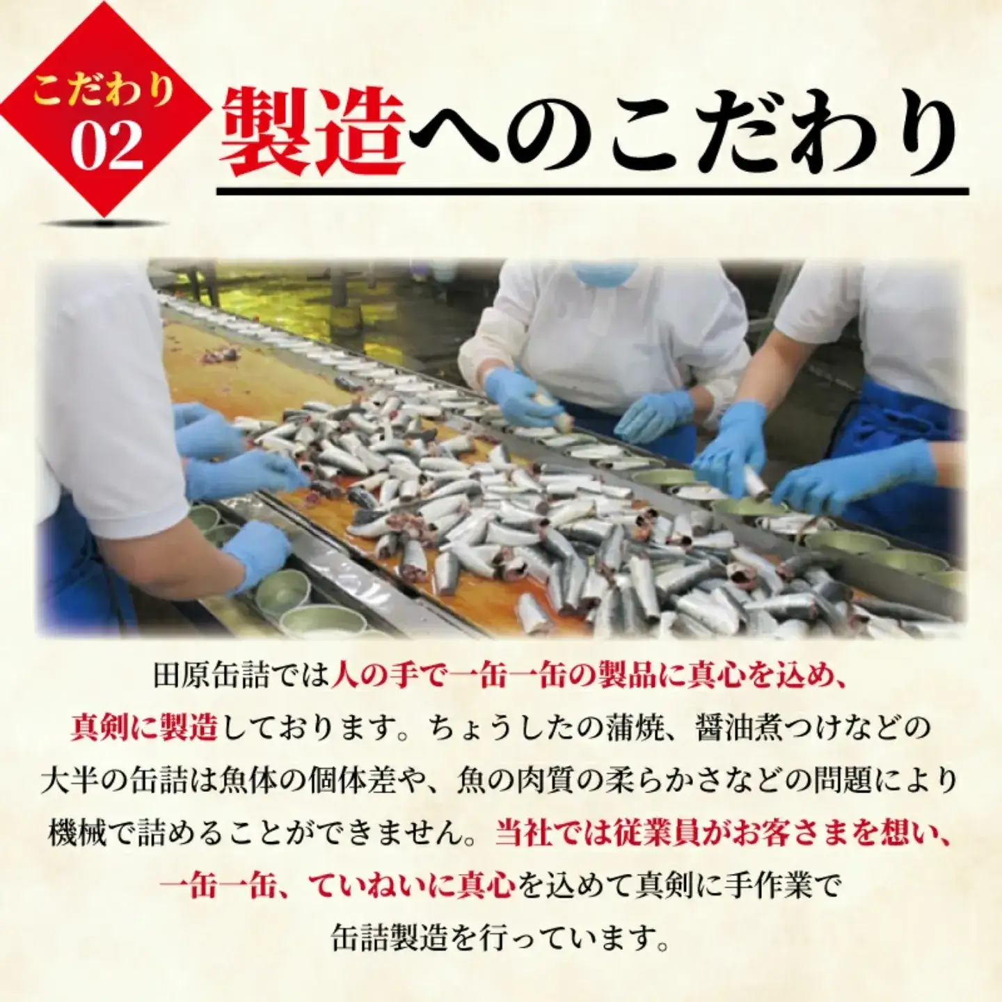 【 缶詰 】 サーモン水煮 8個 | 缶詰