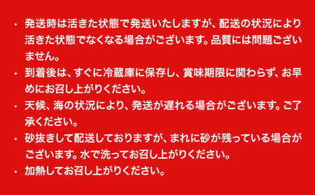 数量限定 天然 活 はまぐり 1kg 1個:40g～100g 寺田水産 《2025年7月上旬-2026年6月末頃出荷》千葉県 勝浦市 海産 貝 はまぐり【配送不可地域：離島・北海道・沖縄県・東北・中国・四国・九州】