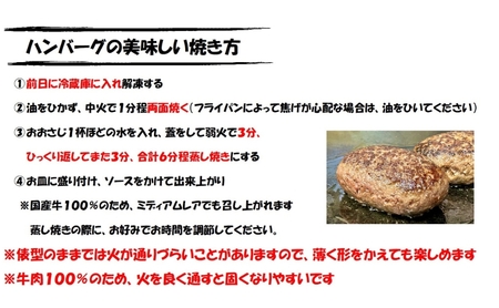【 国産黒毛和牛使用！ 】 静岡牛 極肉ハンバーグ 150g×5個入 特製ソース付き 国産 牛肉 冷凍 静岡 ハンバーグ お惣菜 おかず はんばーぐ お弁当 冷凍