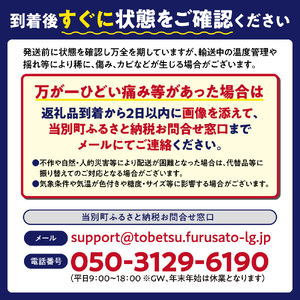 【2026年先行予約】野口農園 高糖度 とうもろこし「ドルチェドリーム」15本 
