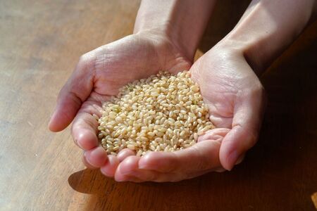 A274冷凍玄米海苔巻きおむすび(25個入） 北海道 鷹栖町 たかすのおむすび ゆめぴりか 玄米 おむすび 冷凍