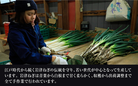 岩津ねぎのお味噌汁