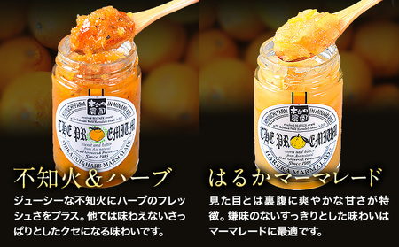 阿蘇 木之内農園 プレミアムシリーズ 5本セット 1本 150g×5 いちご ブルーベリー 不知火マーマレード はるかマーマレード 不知火ハーブマーマレード《30日以内に出荷予定(土日祝を除く)》 熊本県 南阿蘇村 ジャム スイーツ ギフトセット 送料無料