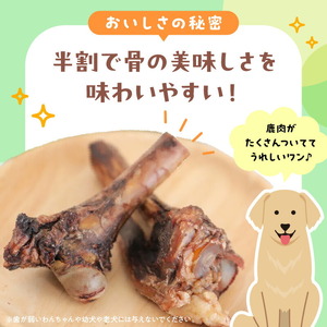 ペット用延岡産鹿レッグボーン N0198-YA2244