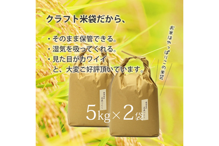 玄米 令和7年産 元気つくし 5kg 2袋 [um40azp190012]
