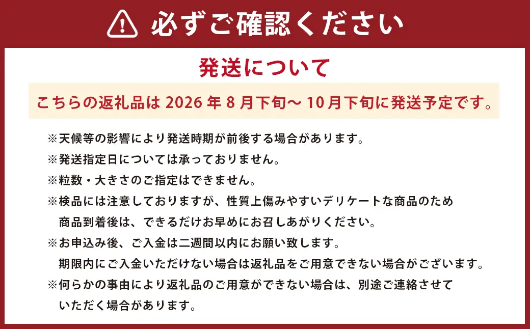 【訳あり】【数量限定】【先行予約】熊本市産 梨 (幸水・豊水・秋月・新高など) 約 2.5kg 果物 くだもの フルーツ 家庭用 訳あり なし ナシ 常温 熊本 熊本市【2026年8月下旬～10月下旬発送予定】