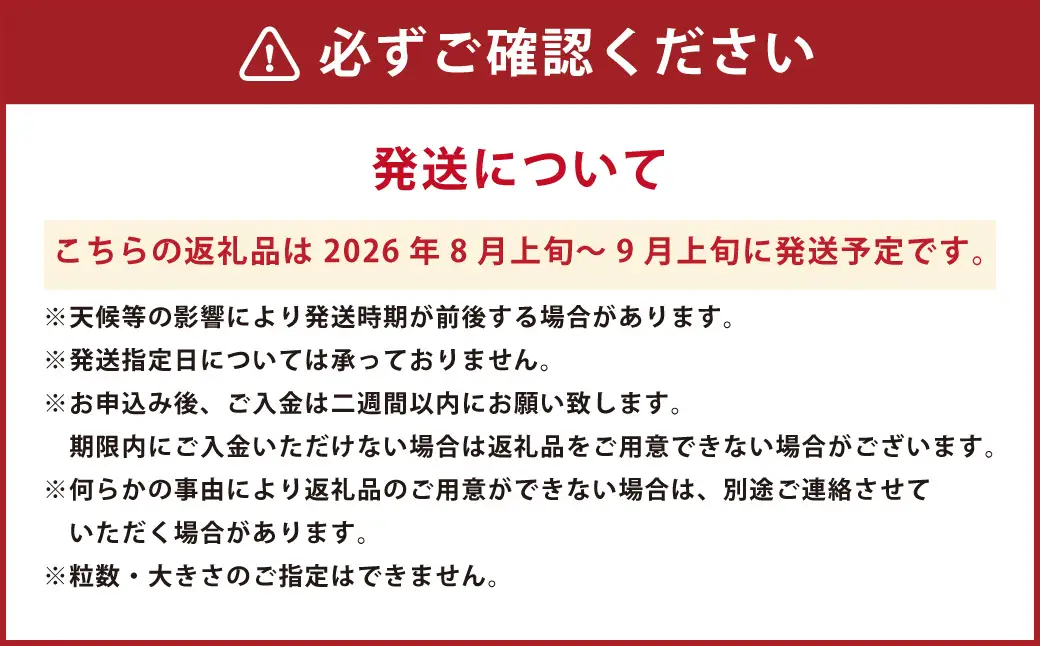【数量限定】【先行予約】シャインマスカット 約 2kg 果物 くだもの フルーツ マスカット ぶどう ブドウ 葡萄 冷蔵 熊本 熊本市【2026年8月上旬～9月上旬発送予定】