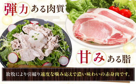 【全6回定期便】【結着剤・発色剤・保存料不使用】 放牧豚 ハム・ソーセージ9種＆スライス肉4種 無添加 無添加 無塩せき [AXBA020]