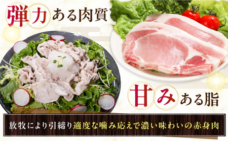 【全12回定期便】放牧豚 ローストポーク 2個（250g/個） ハム おかず オードブル 豚肉 [AXBA037]