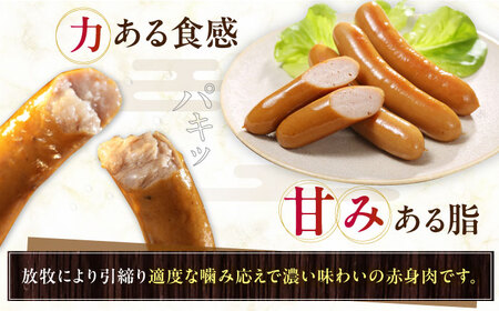 【全2回定期便】【結着剤・発色剤・保存料不使用】 放牧豚 ポークウィンナー・粗挽きウィンナー 計1kg（500g×各1パック） 無添加 無塩せき [AXBA046]