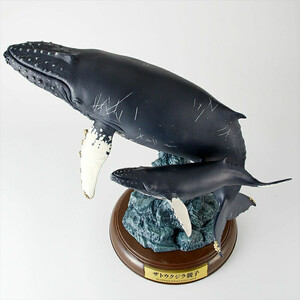 NatureTales ザトウクジラ親子【 フィギュア アニマルフィギュアコレクション 大阪府 門真市 】