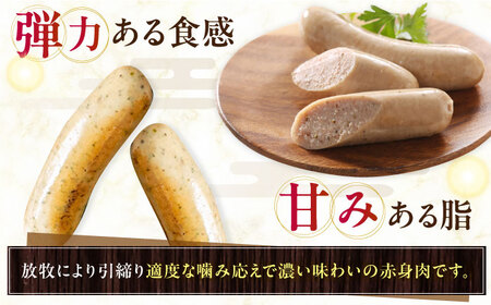 【全2回定期便】【訳あり】【結着剤・発色剤・保存料不使用】 放牧豚 サルシッチャ 2本x10セット（90g/パック） 訳あり ソーセージ ウインナー 無塩せき 冷凍配送 セット 詰め合わせ 北海道 [AXBA074]