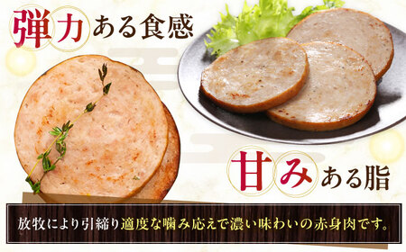 【全12回定期便】【訳あり】【結着剤・発色剤・保存料不使用】 放牧豚 ボロニア厚切りスライスソーセージ 3枚x10セット（130g/パック） 訳あり ソーセージ ウインナー 無塩せき 冷凍配送 セット 詰合せ 北海道 [AXBA081]