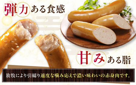 【全12回定期便】【訳あり】【結着剤・発色剤・保存料不使用】 放牧豚 フランクフルト 2本×10セット（150g/セット） 訳あり ソーセージ ウインナー 無塩せき 冷凍配送 セット 詰め合わせ 北海道 [AXBA085]